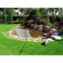 Telo Laghetto in Pvc Rinforzato Marrone Metri 6 x 8 Garanzia 15 anni