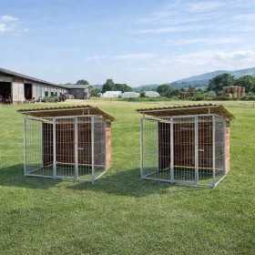 Coppia di Box per Cani con Copertura e Retro in Legno Zincatura a Caldo Ciascuno da 200x300xh180 Cm