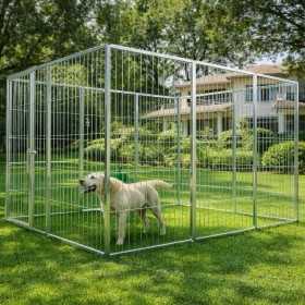 Box per Cani da Esterno Zincatura Elettrolitica 300x200x Altezza 180 centimetri