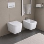 Vaso Wc Sospeso Serie Diana Ceramica Bianca Lucida Elegante