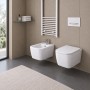 Vaso Wc Sospeso Serie Diana Ceramica Bianca Lucida Elegante