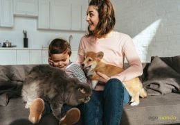 Cani Gatti e Non Solo: Consigli per la Convivenza in Casa